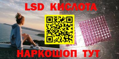тгк Бийск
