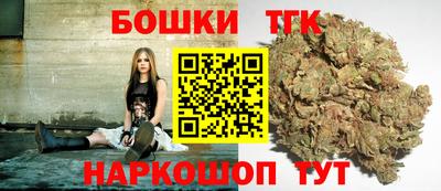 тгк Бийск