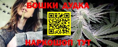 тгк Бийск