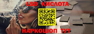тгк Бийск