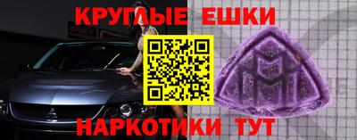 тгк Бийск