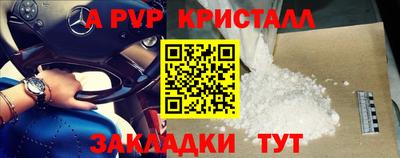 тгк Бийск