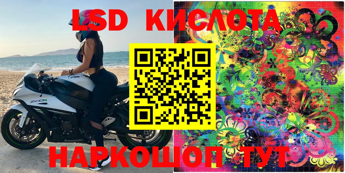 МЕФ Касимов