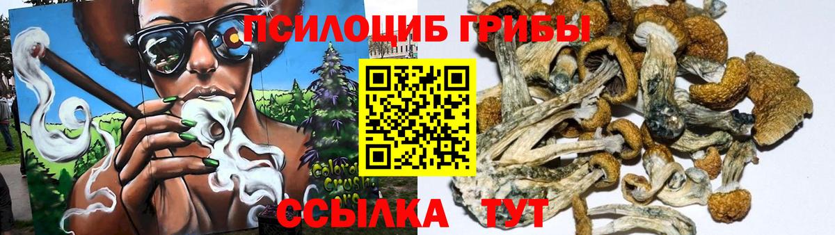 Псилоцибиновые грибы мухоморы  Галлюциногенные грибы Cubensis  Касимов  Вход с VPN 